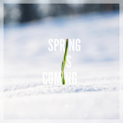 22 - Spring is coming