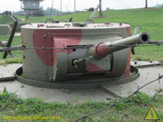 IMG-3621