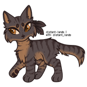 grey/brown spotted tabby