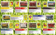 Calciatori-panini-1997-98-38