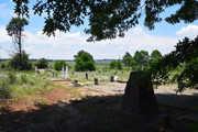 DSC-0291