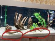 EC9596C0-1775-48D8-B319-394C3C46CC07