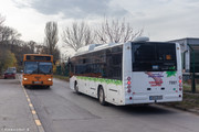 IMG-1232