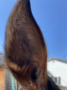 1AEC1428-C0BE-4166-B958-A17FAF4E4859