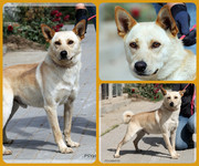 Be-Funky-collage-27.jpg&key=9ea82def413e