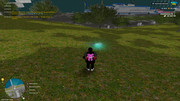 IMG-6961
