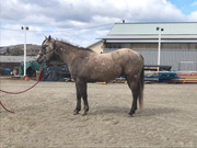 8FF47A3D-CA3A-47BA-ABE3-6649C724748E