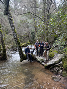 IMG-20260131-WA0013