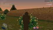 IMG-8537