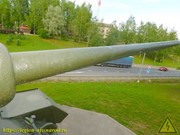 DSCN8580
