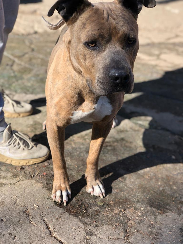 WhatsApp Image 2022-09-10 at 13.13.55 (1)