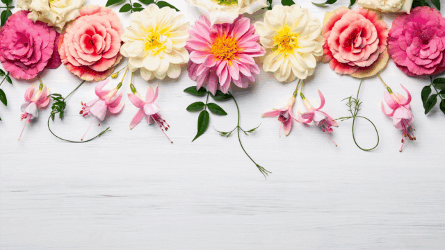 [Image: VHV-Cover.gif]