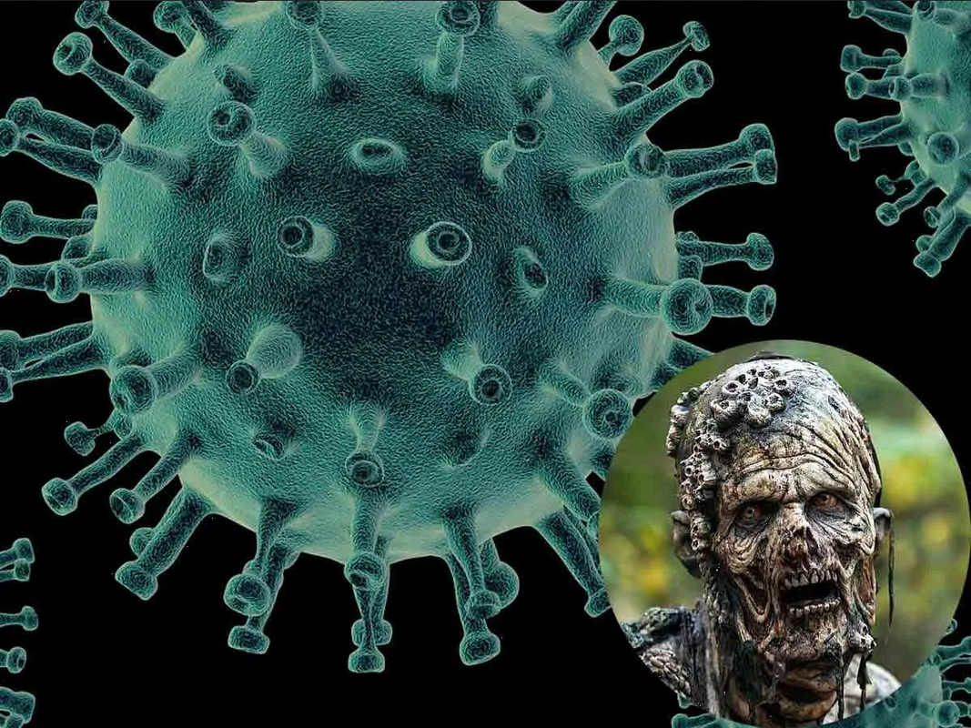 Virus