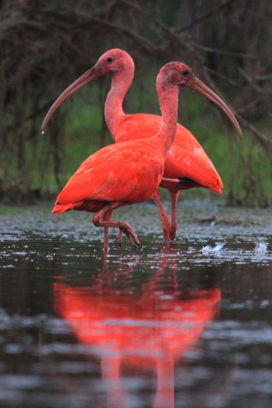 F287858E C601 4144 ABBF 1E68302EEB8F