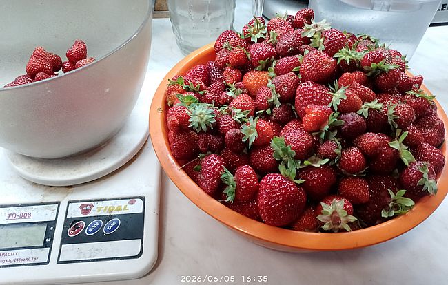 https://i.postimg.cc/jd0Jz08d/eper-20260605.jpg