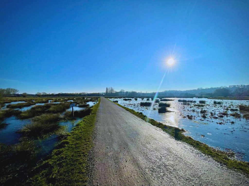 Marshes-January-HD.jpg