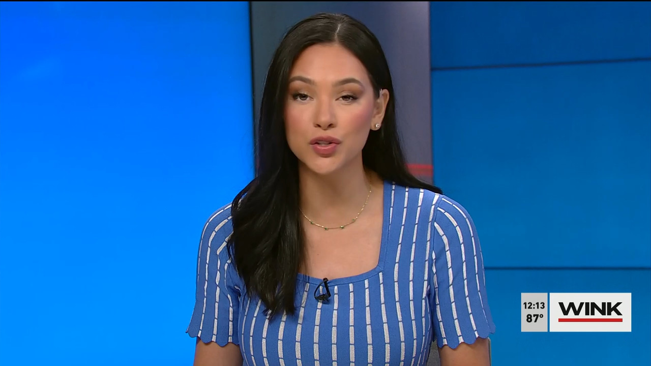 04.27 - 17.00.00 - The WINK Noon News  ᴺᵉʷ. Midday news update..ts_snapshot_19.23.382