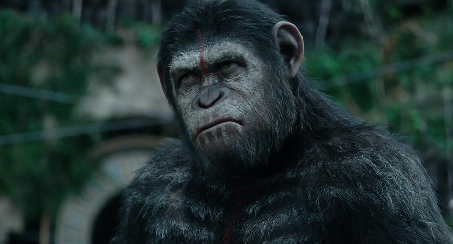 Download Dawn of the Planet of the Apes (2014) BluRay [Hindi + Tamil + Telugu + English] ESub 480p 720p 1080p