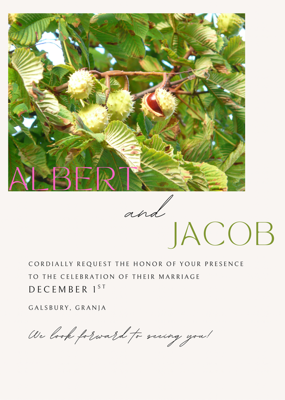 Jake and Albert’s wedding invite. Albert’s name, written in pink, is set off against a picture of a chestnut tree. The date of the wedding is December 1st and the location is Galsbury, Granja.