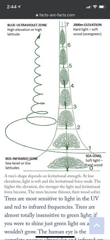 38F23F16-5636-4B13-ACC9-AEAC7164B146