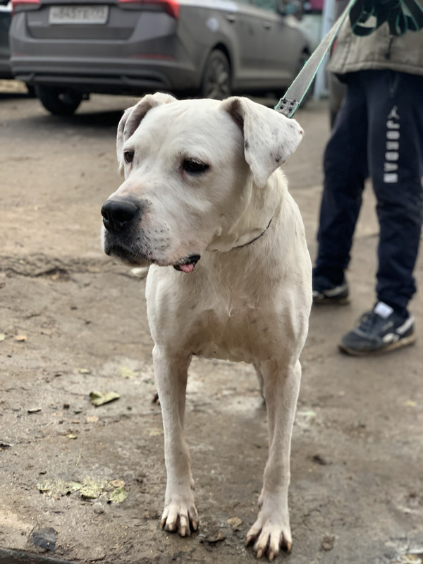 2F92EAD1-7F14-4337-A67C-F1D15C7A3A8B