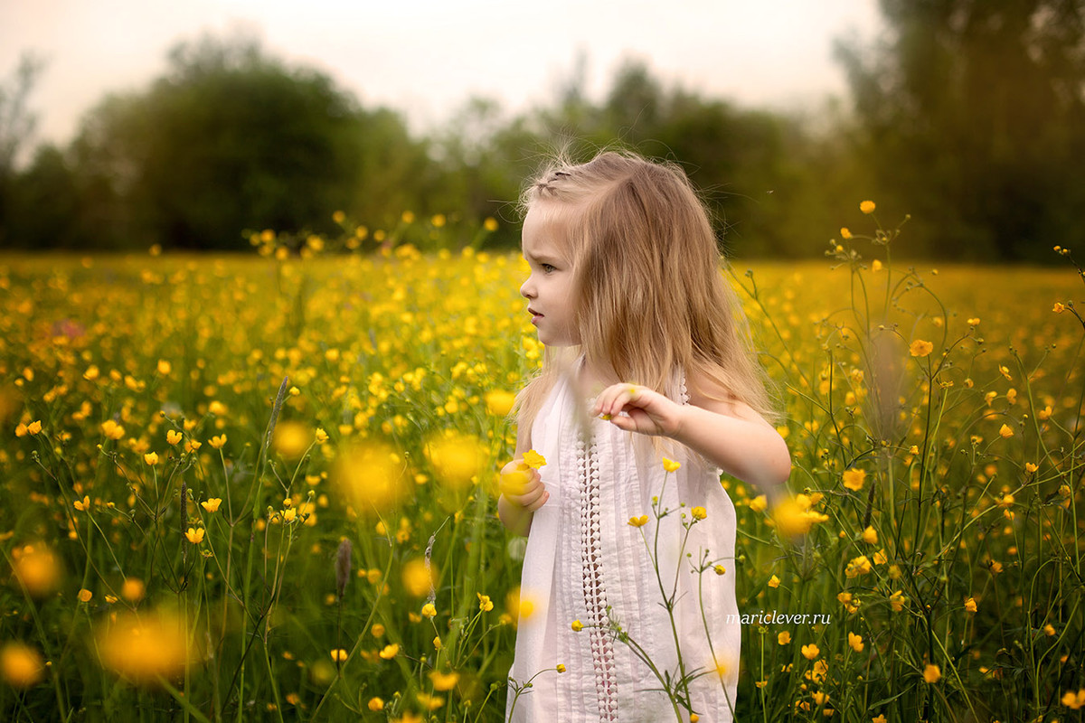 IMG_6344 — копия