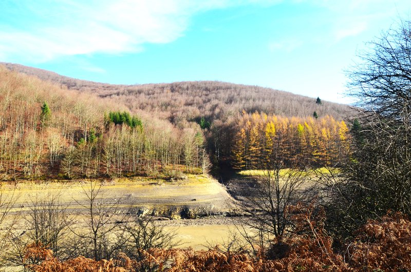 SELVA DE IRATI-14-11-2015-NAVARRA - Paseando por España-1991/2015-Parte-1 (89)