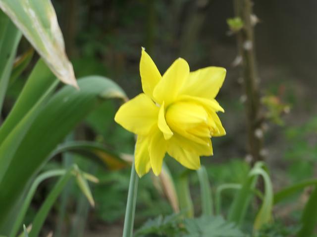P1108138