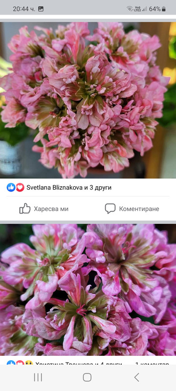 Screenshot_20230316_204421_Facebook