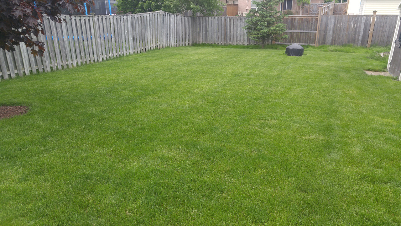 Lawnmower lines Lawn Care Forum