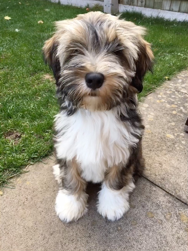 D55EC336-76E5-44BC-BED2-A90F765FC6E4