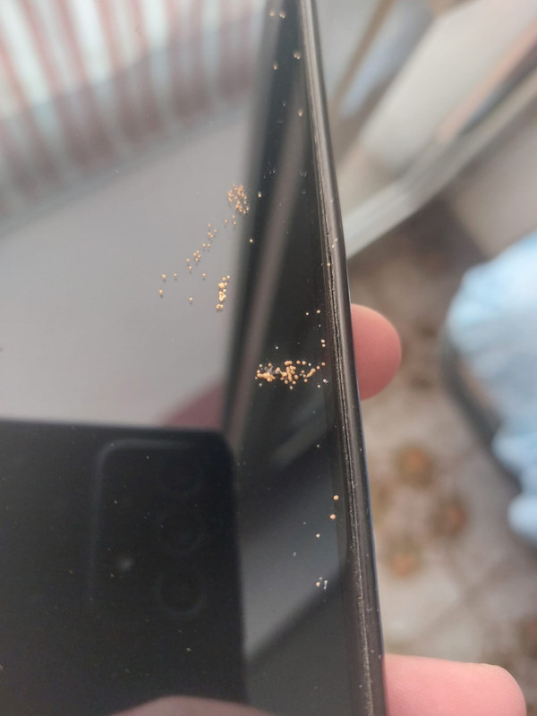 WhatsApp Image 2023-07-16 at 12.21.09 (1)