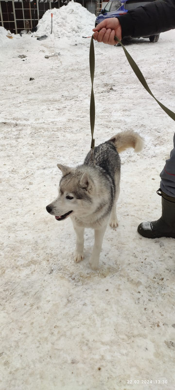 WhatsApp Image 2024-02-22 at 13.33.01 (1)