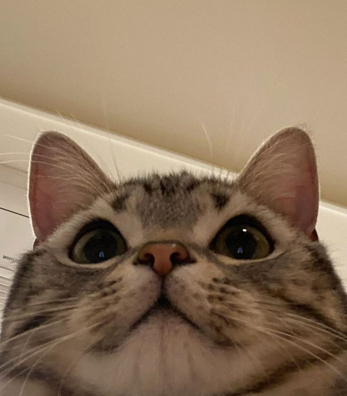 Scrolling Image