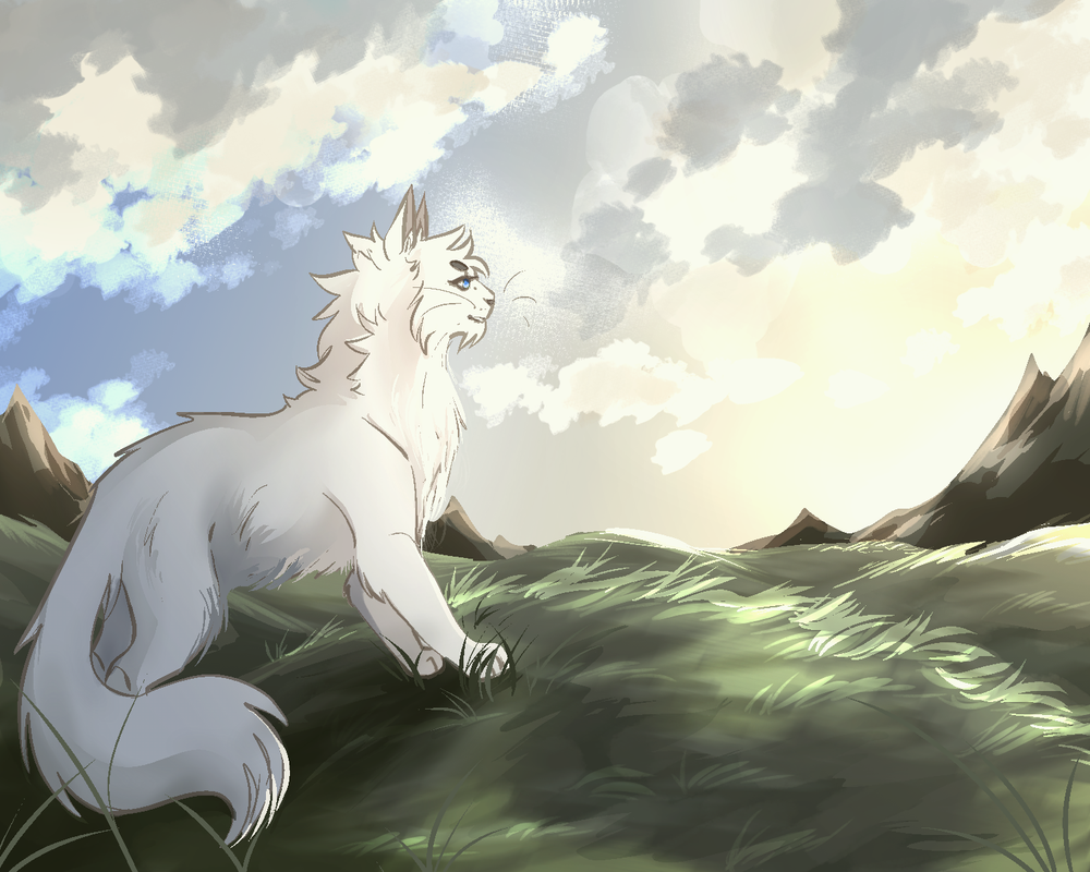 Windclan banner