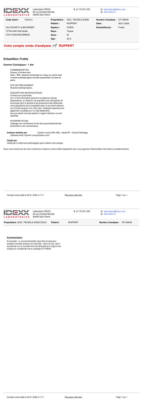 [Image: IDEXX-Befund-SOCTECKELSSANSDOUXFOYER-CHI...260109.png]