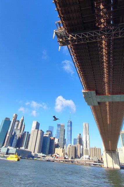 Vista icónica en Dumbo, bicis Central Park, Museo Historia y Little Italy - Nueva York y Cataratas del Niágara 2023 (12)