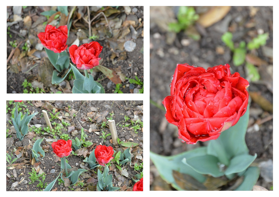 Новый коллаж.jpg 62