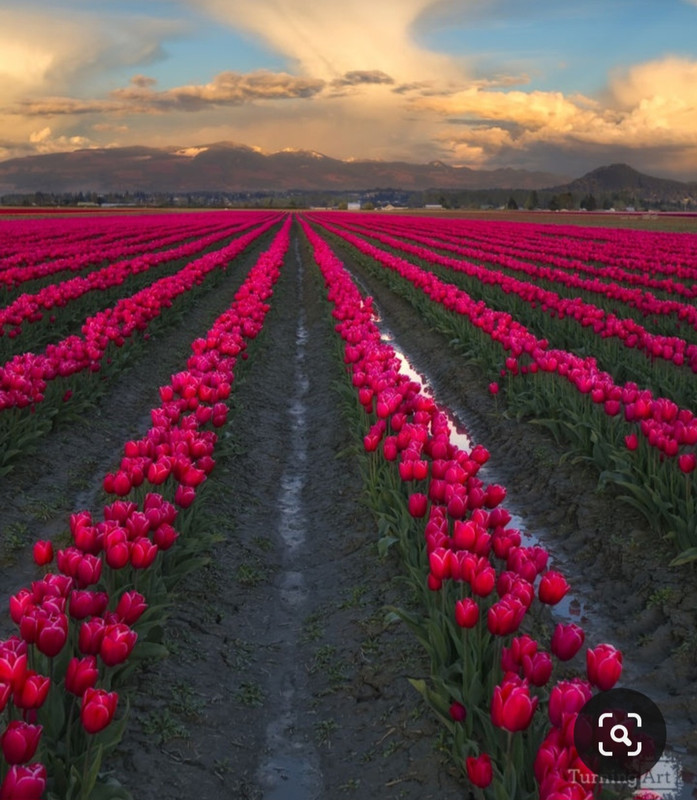 Screenshot_20230719_223314_Pinterest