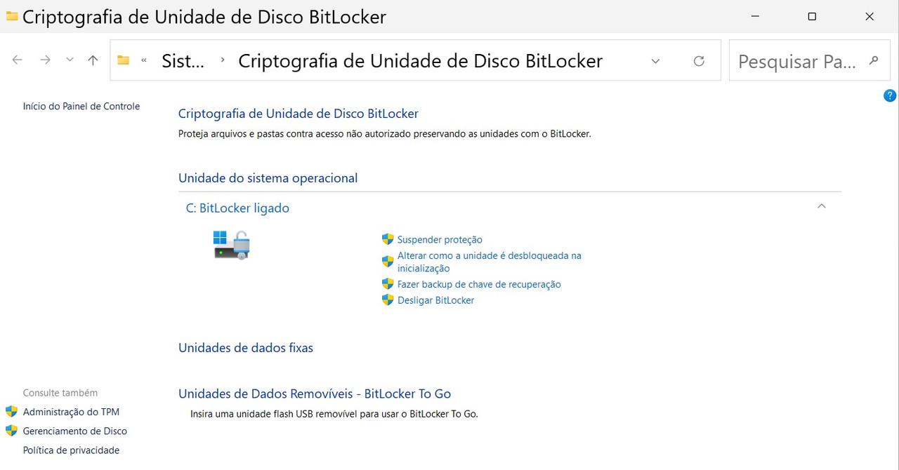 GERENCIAMENTO BITLOCKER PAINEL DE CONTROLE