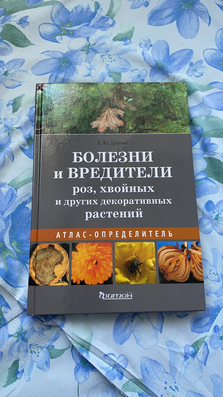 4843DD75-6F53-4B23-BAFD-9D46B0C5B45A