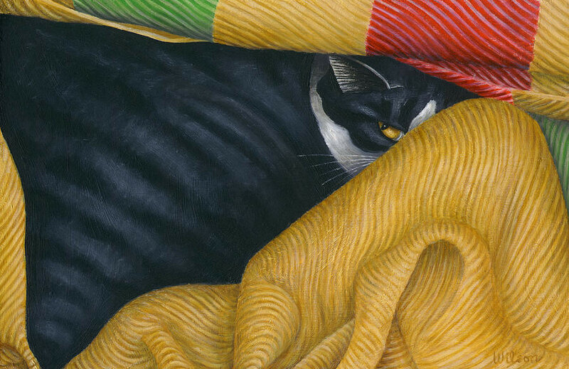 10-my-cat-blanket-carol-wilson