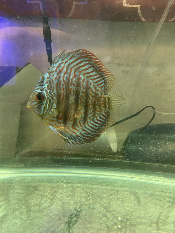 08ED3084-7F4A-4A08-9881-EF168E6BAE71