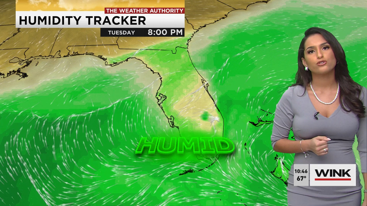 01.21 - 15.00.00 - WINK News at 10 00AM..ts_snapshot_00.52.33.489