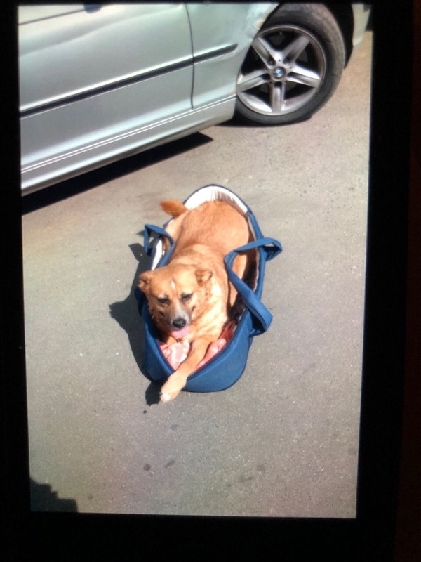 9D3F97C9-823B-4AF6-857D-2AD679000B90