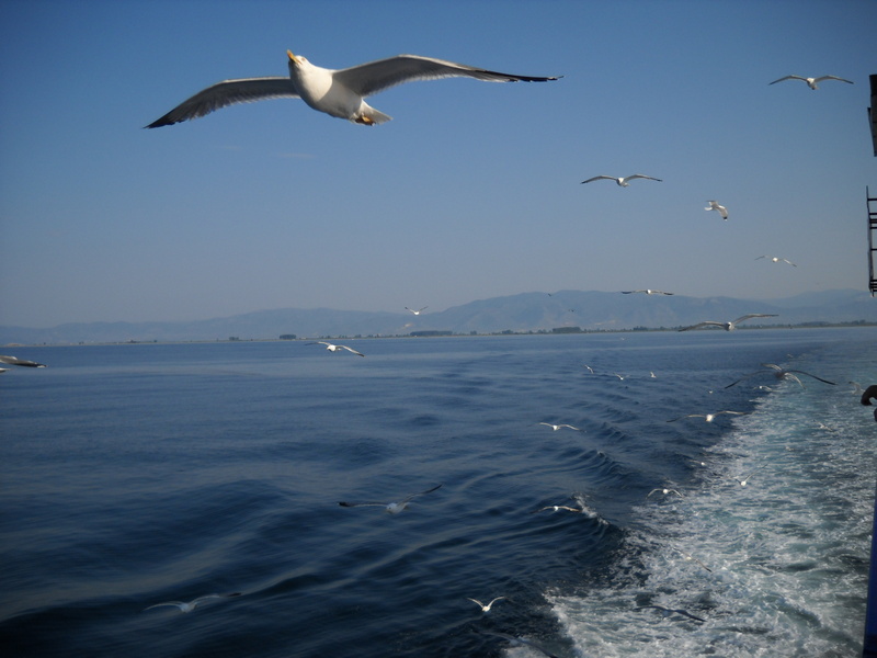 Slika