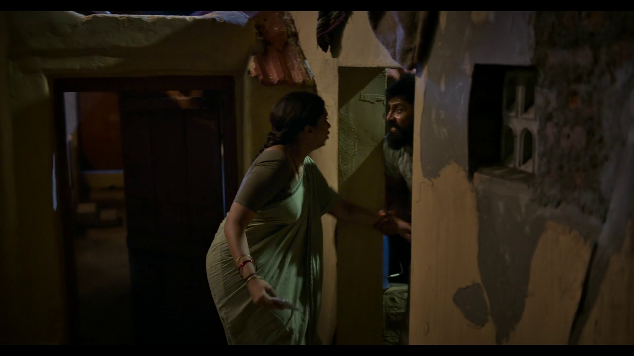 vlcsnap-2025-04-24-21h17m39s594