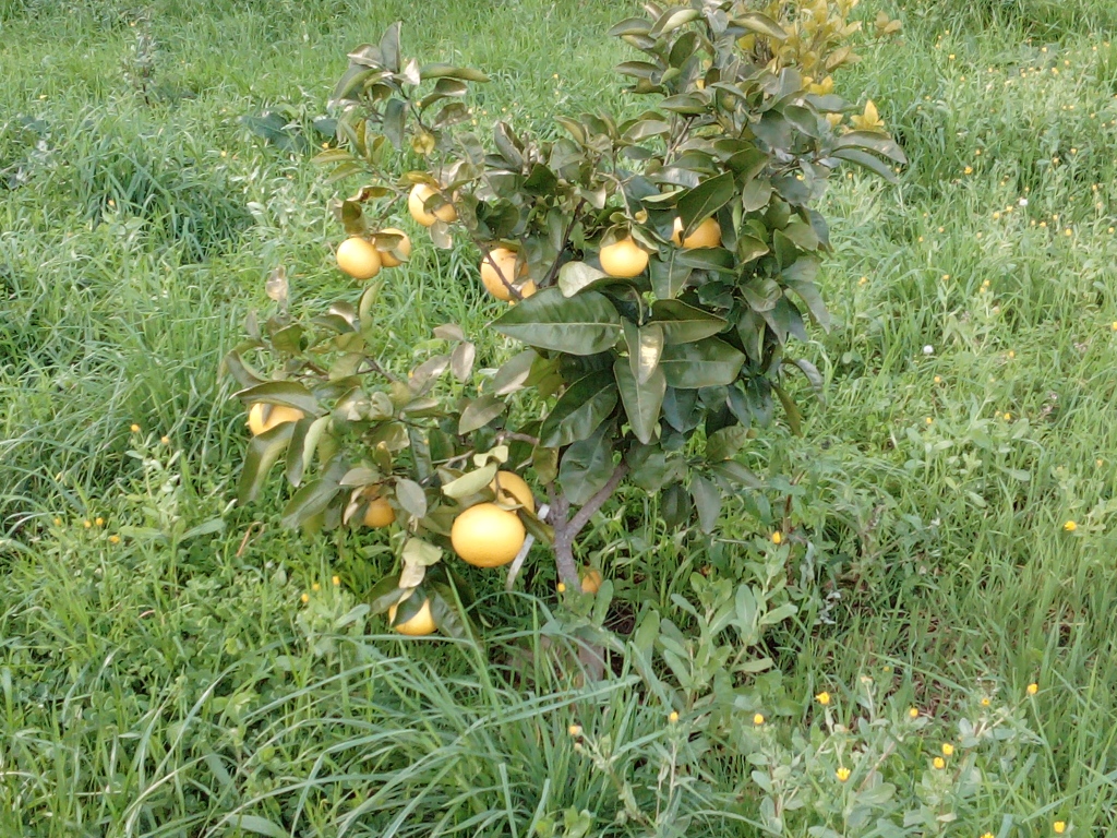 DSC_0074_resized_20190204_055748401