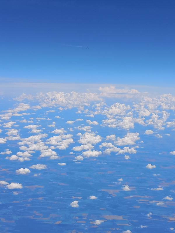 20230729-121414.jpg