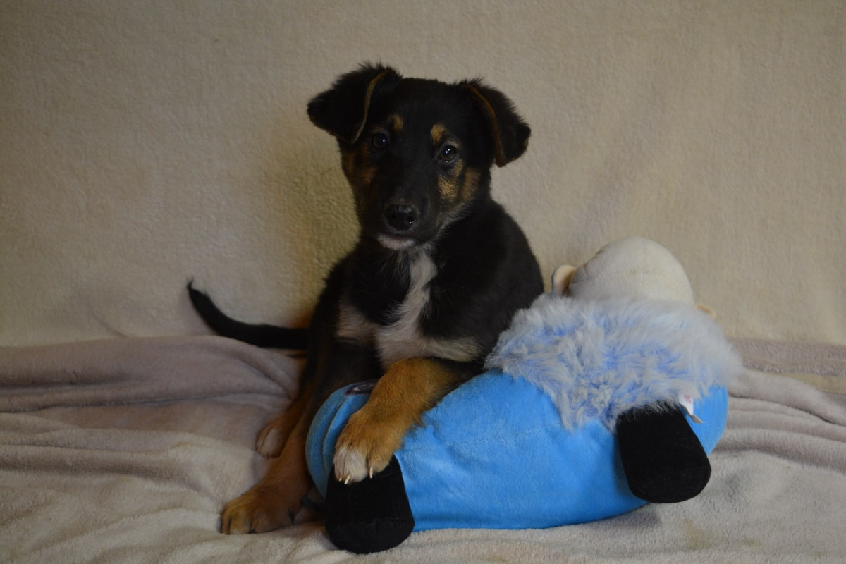 21-47-37-6OUESU2TwmM